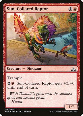 Sun-Collared Raptor [Rivals of Ixalan] - TCG Master