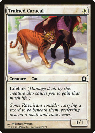 Trained Caracal [Return to Ravnica] - TCG Master