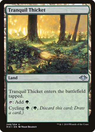 Tranquil Thicket [Modern Horizons] - TCG Master