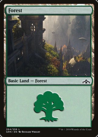 Forest [Guilds of Ravnica] - TCG Master